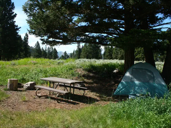 Slough Creek Campground
