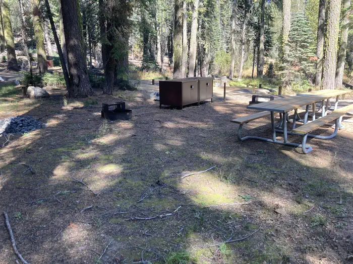 Crane Flat Campground