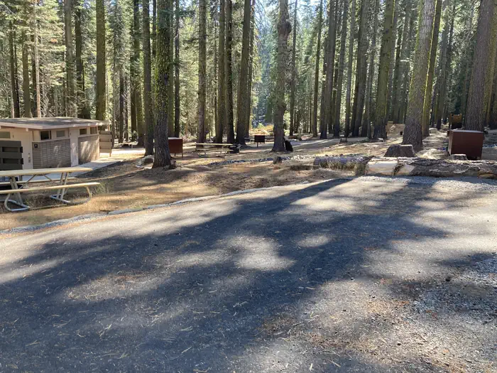 Crane Flat Campground