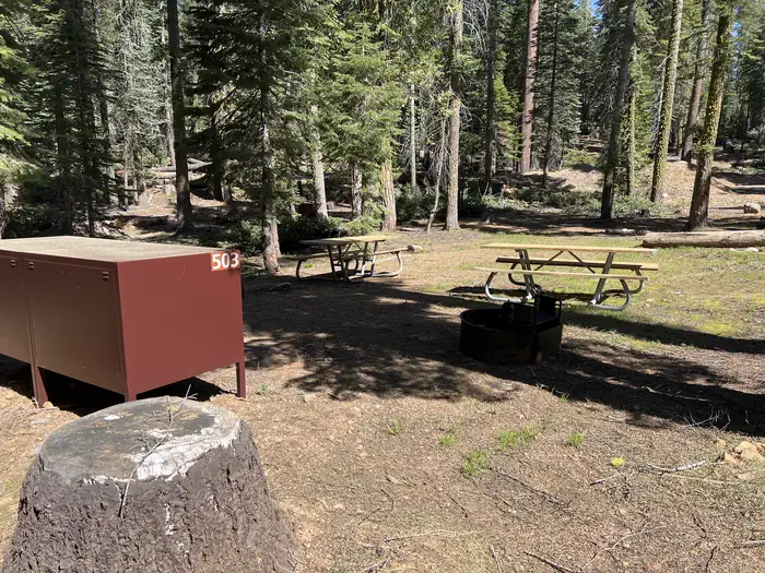 Crane Flat Campground