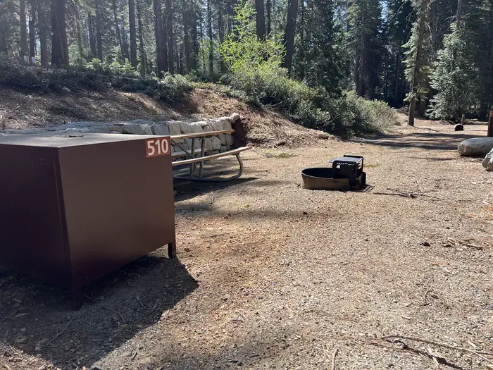 Crane Flat Campground