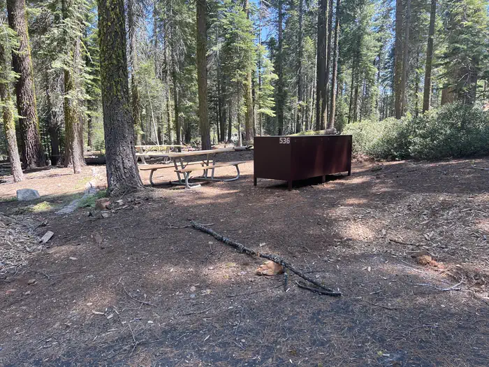 Crane Flat Campground
