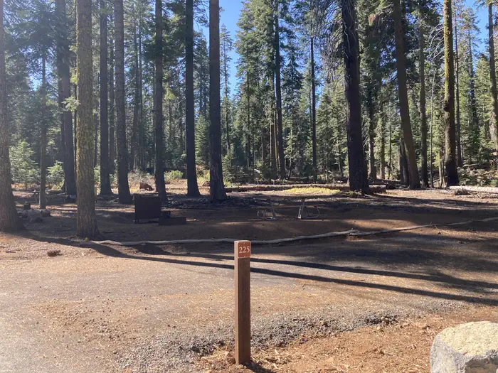 Crane Flat Campground