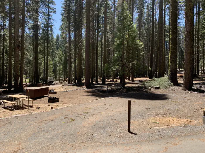 Crane Flat Campground