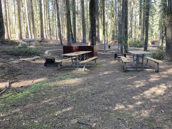 Crane Flat Campground