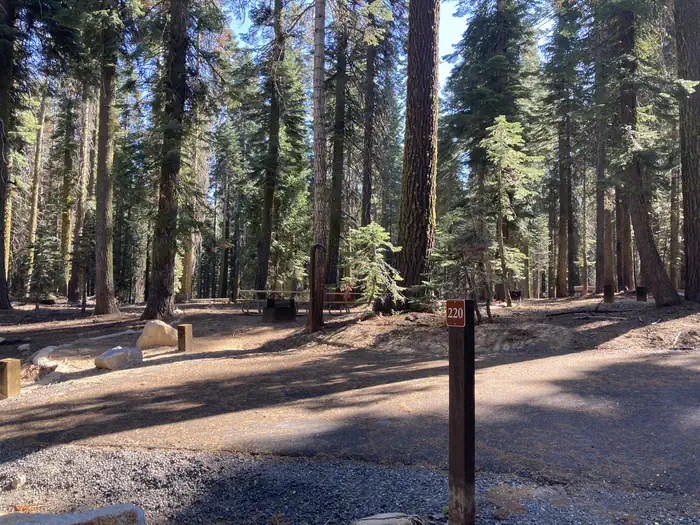 Crane Flat Campground