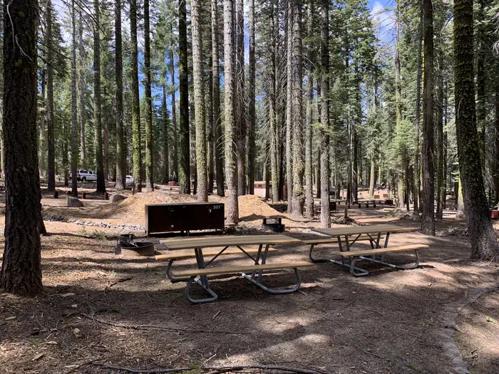 Crane Flat Campground