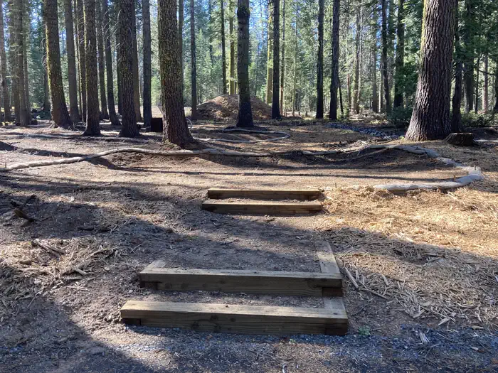 Crane Flat Campground