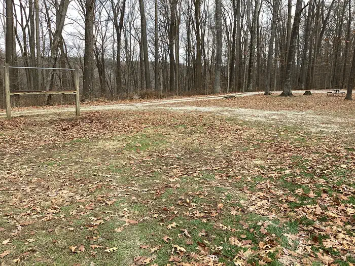 Shirley Creek Horsecamp