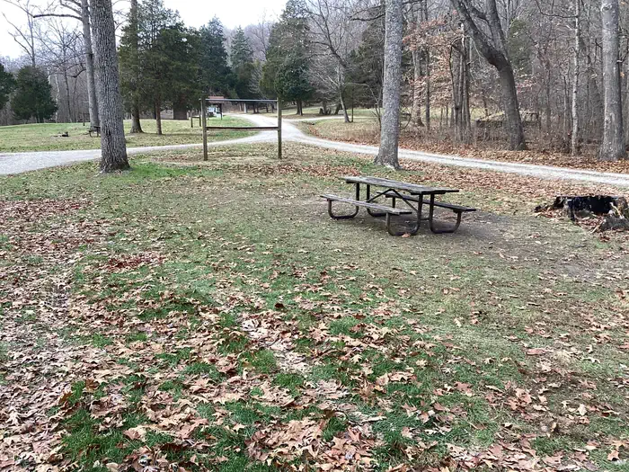 Shirley Creek Horsecamp