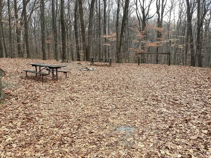 Shirley Creek Horsecamp