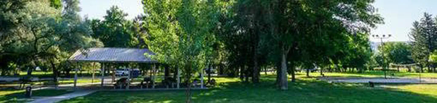 Anderson Cove (uinta-wasatch-cache National Forest, Ut)