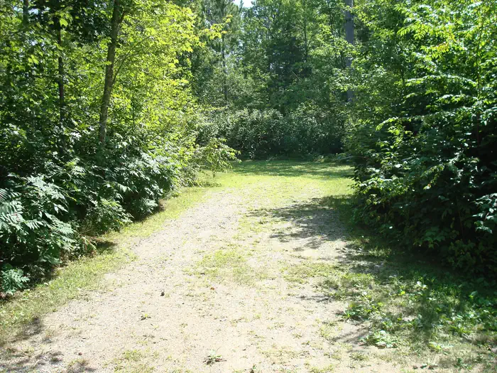 Wanaki Loop
