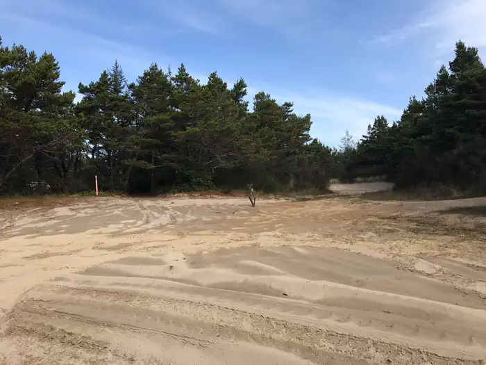 Siltcoos Sand Camping