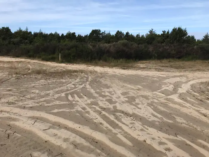 Siltcoos Sand Camping