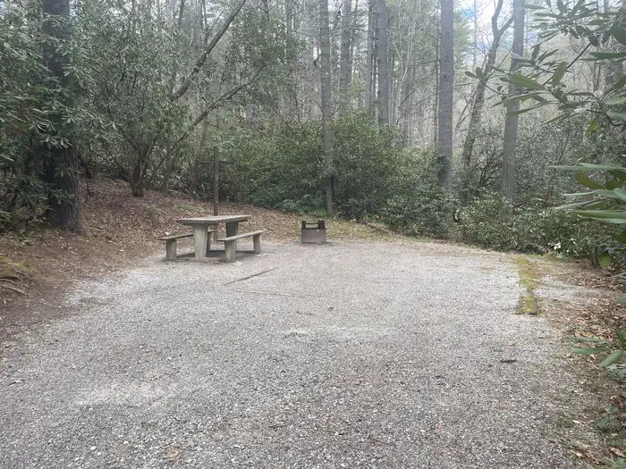 Van Hook Glade