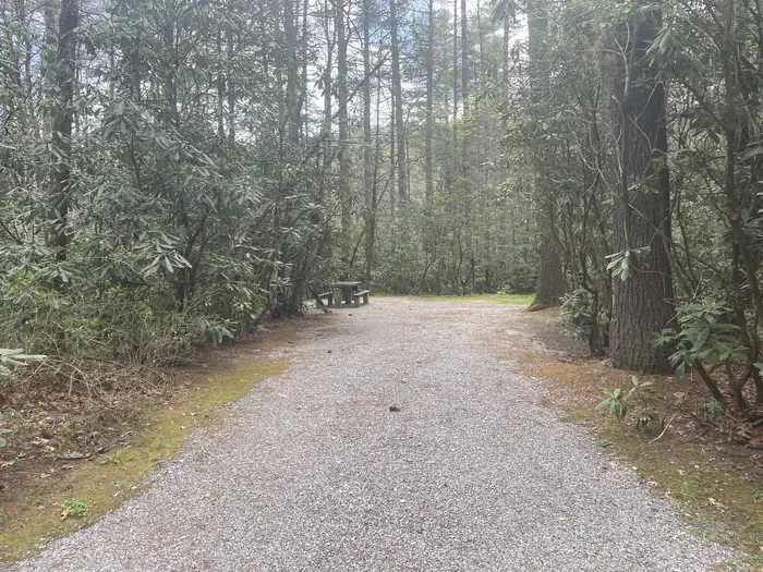 Van Hook Glade