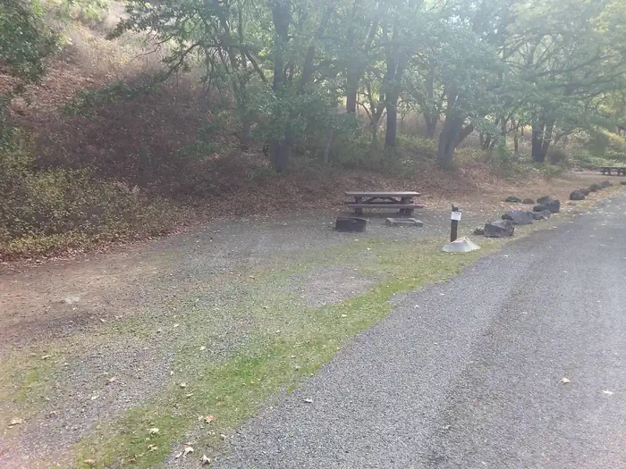 Tree Of Heaven Campground