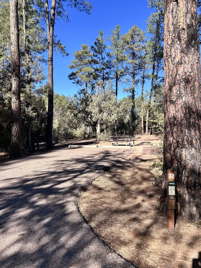 Houston Mesa Campground