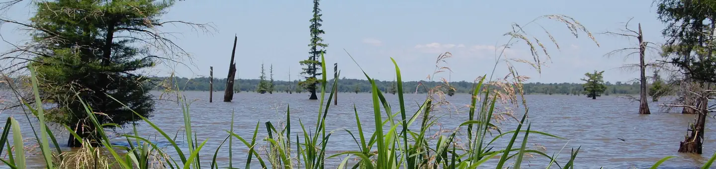 Cottonshed Park (AR) COE
