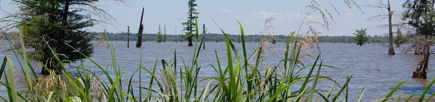 Cottonshed Park (AR) COE