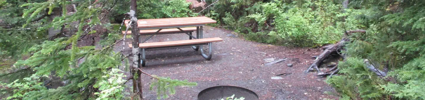 Cougar Rock Campground