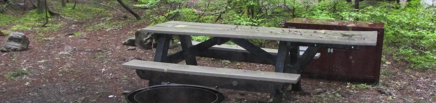 Cougar Rock Campground