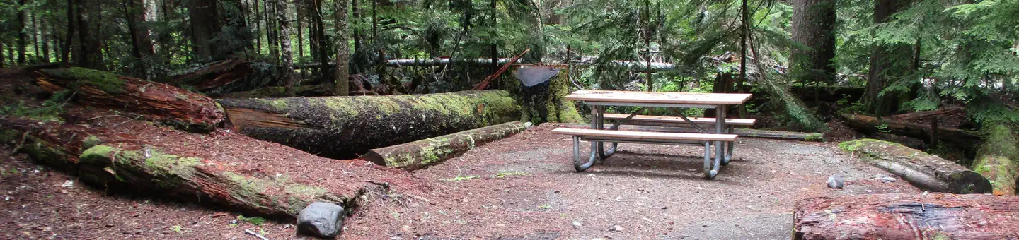 Cougar Rock Campground