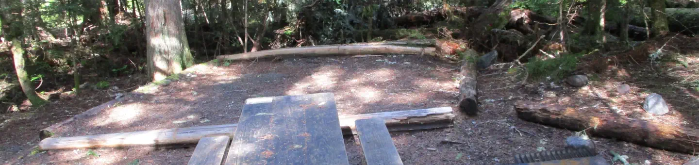 Cougar Rock Campground