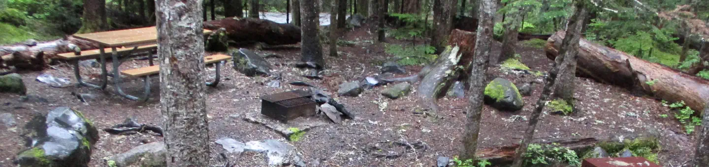 Cougar Rock Campground