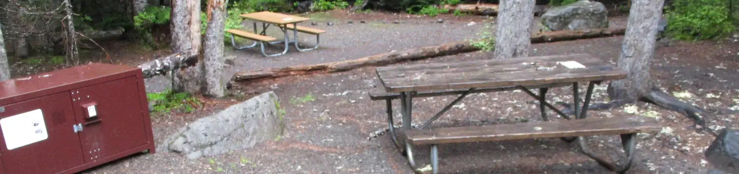Cougar Rock Campground