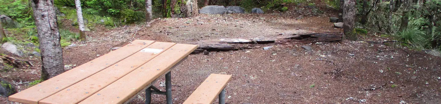 Cougar Rock Campground