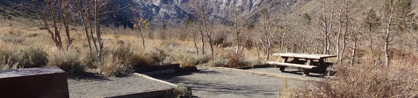 Convict Lake Campground3131