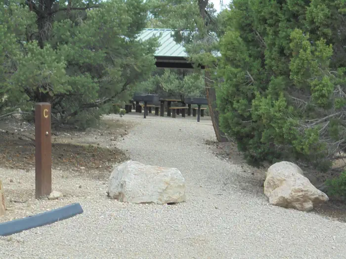 Ward Mtn. Campground (murray Summit)