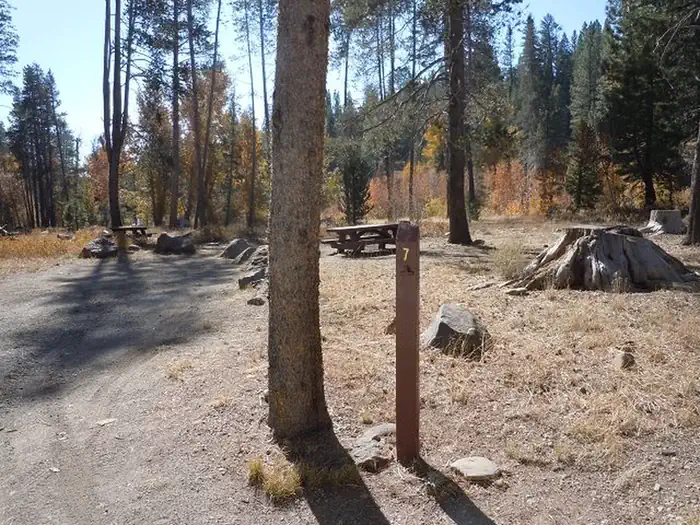 Lower Little Truckee
