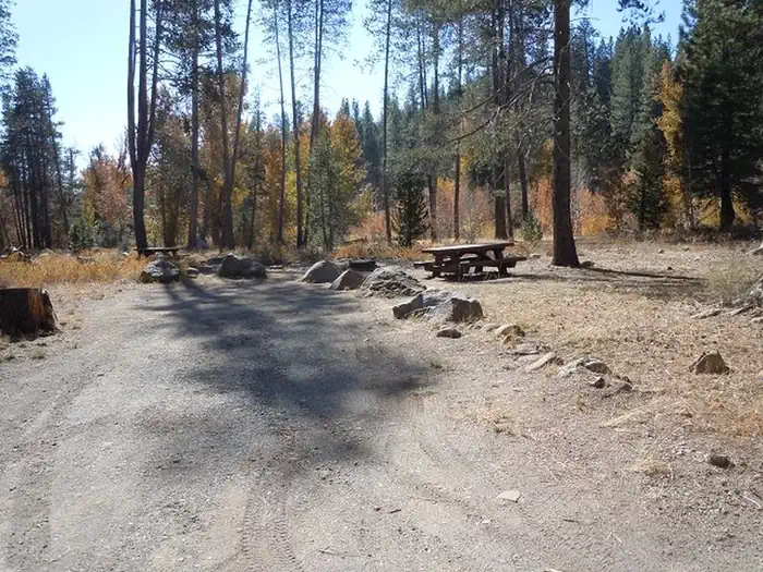 Lower Little Truckee