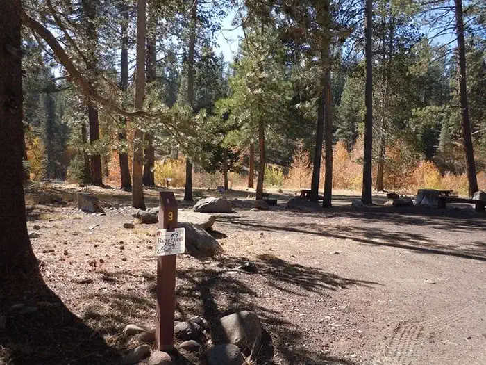 Lower Little Truckee