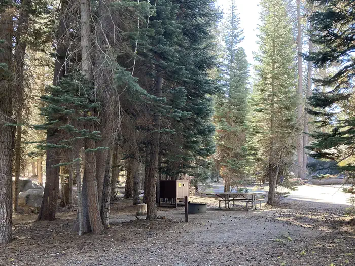 Tamarack Flat Campground