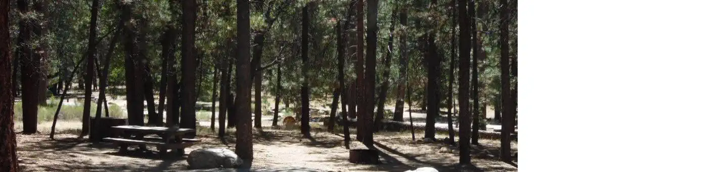 San Gorgonio Campground