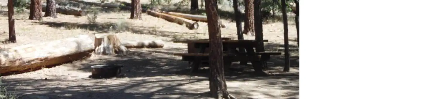 San Gorgonio Campground