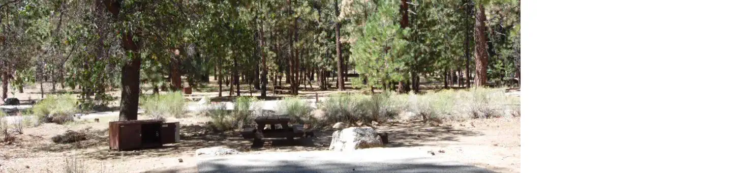 San Gorgonio Campground