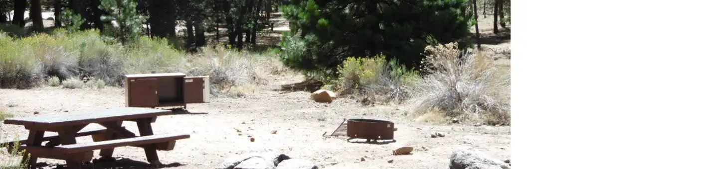 San Gorgonio Campground