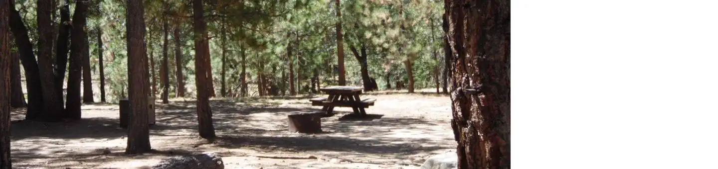San Gorgonio Campground