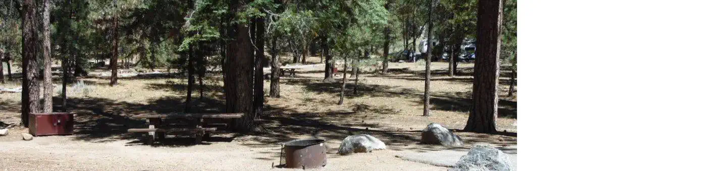 San Gorgonio Campground
