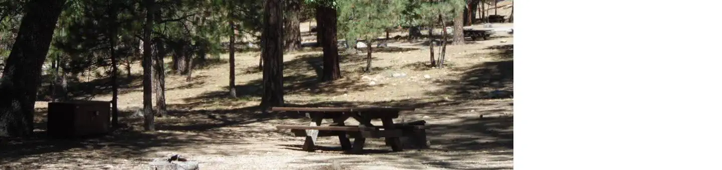 San Gorgonio Campground