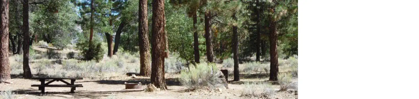 San Gorgonio Campground