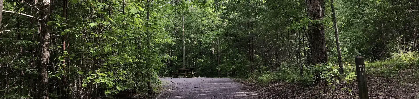 Chilhowee Recreation Area