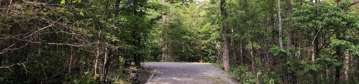 Chilhowee Recreation Area