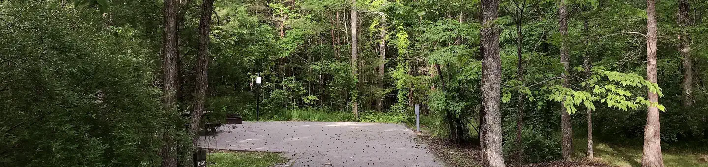 Chilhowee Recreation Area