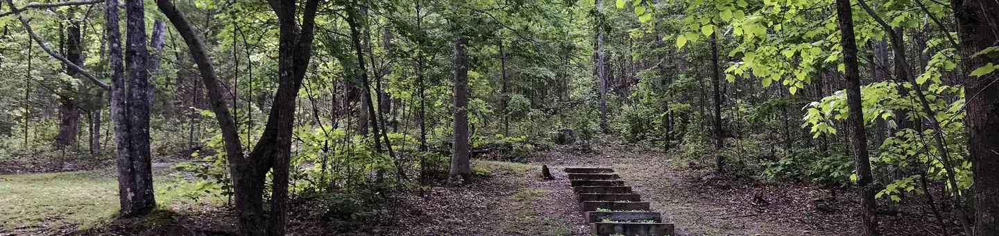 Chilhowee Recreation Area